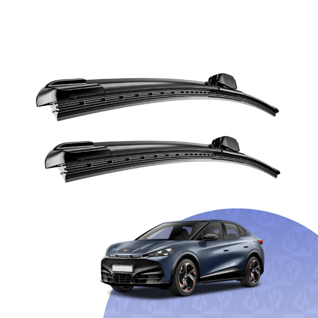 Cupra Tavascan 2024 - 2025 (KR)