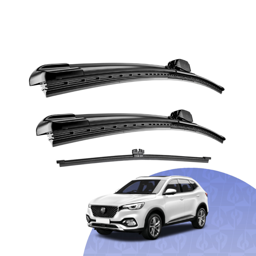 mg Hs 2019 - 2025  (SAS23)