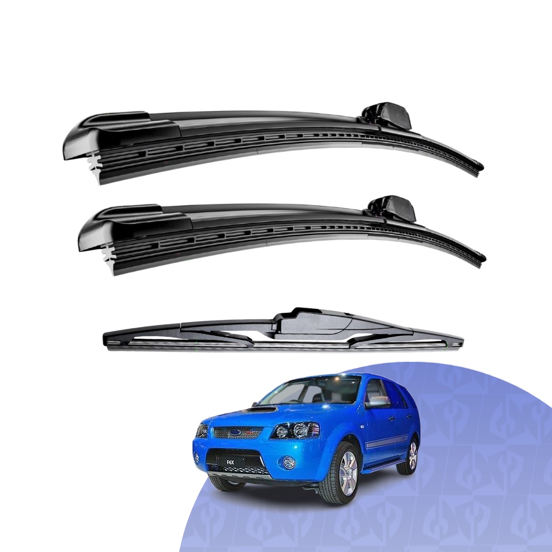 fpv F6x 2008-2009 (SY)