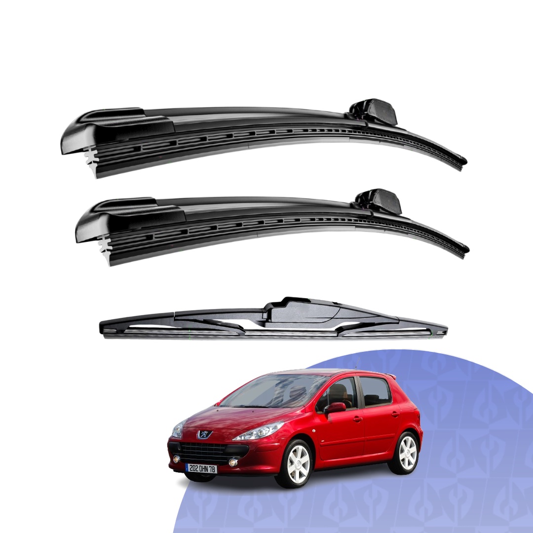 peugeot 307 2005-2007 (T5 T6) Hatch