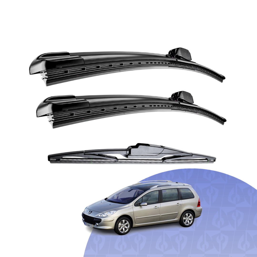 peugeot 307 2005-2007 (T5 T6) Wagon