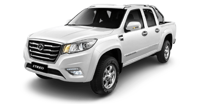 GWM Steed