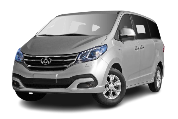 LDV G10